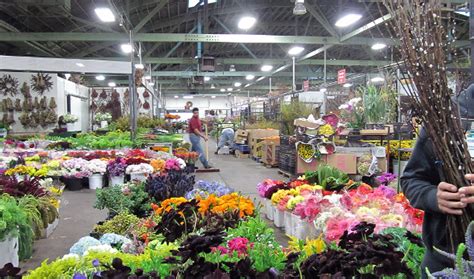 wholesale flower market san francisco bay area